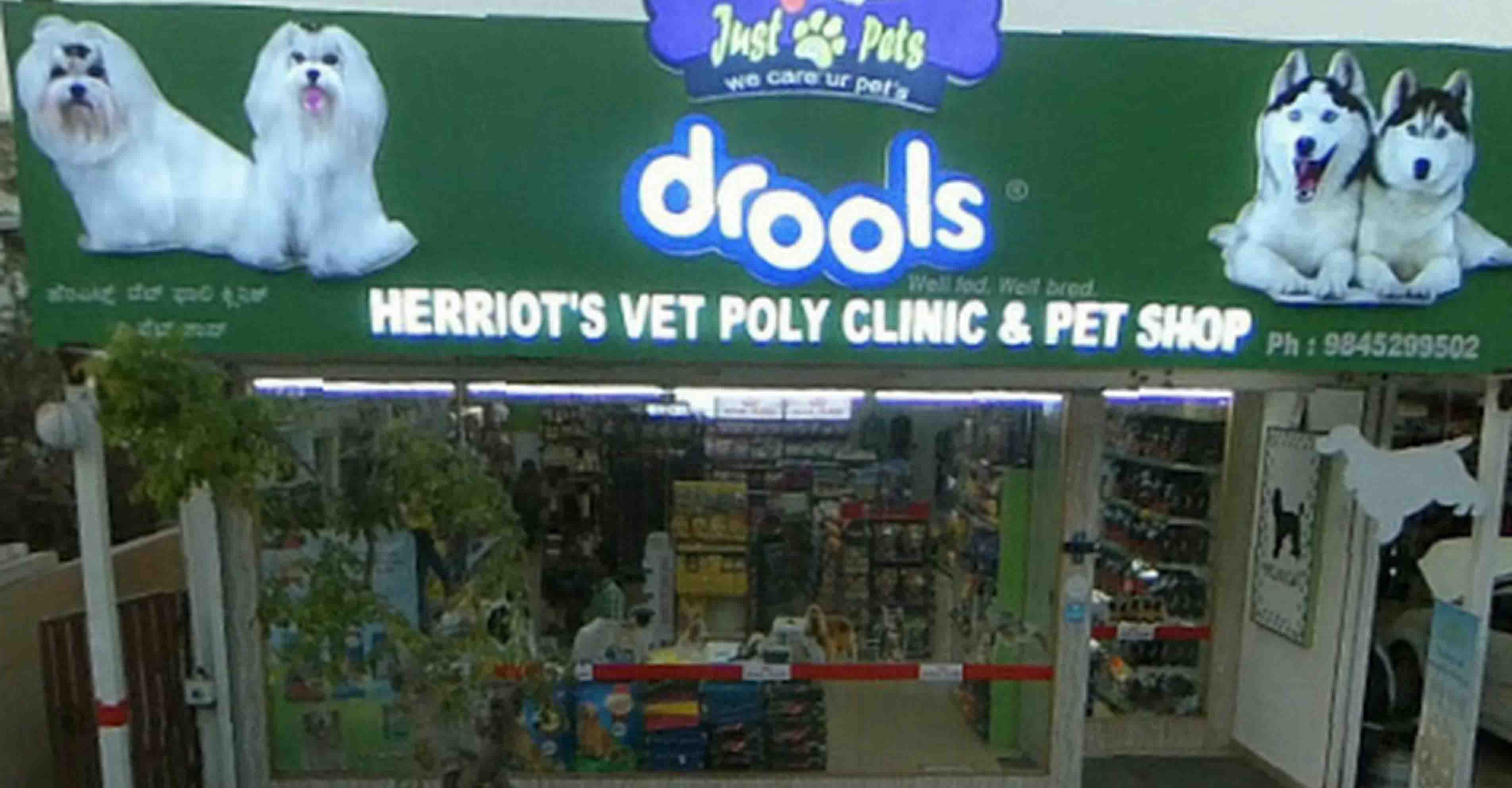 nearby dog stores