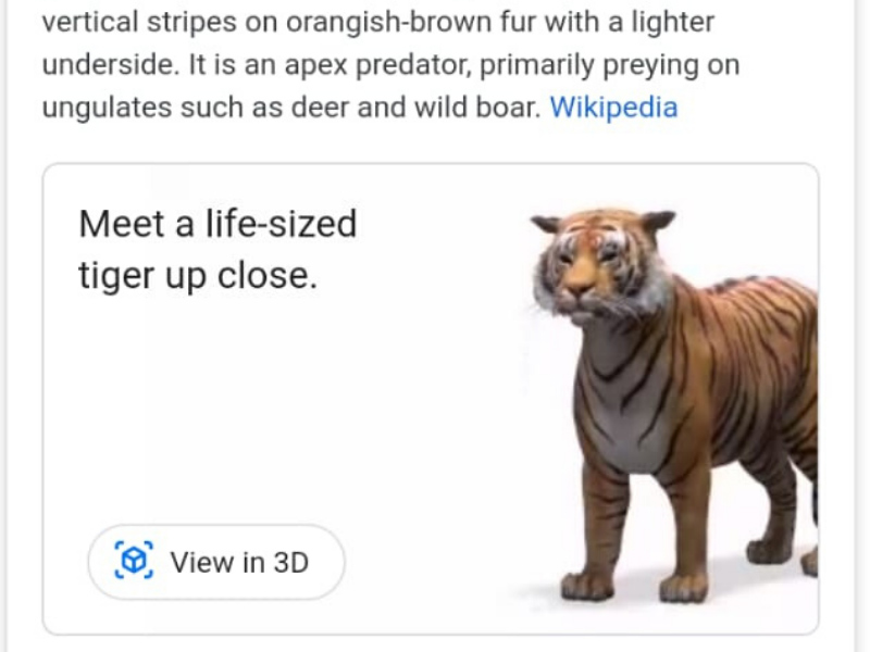 How to See Google 3D AR Animals : Watch Tiger In Bedroom